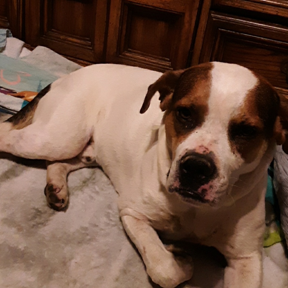 Meet your Posher, Karla